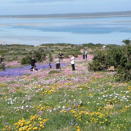 Le Mahi Guest House Langebaan Dış mekan fotoğraf