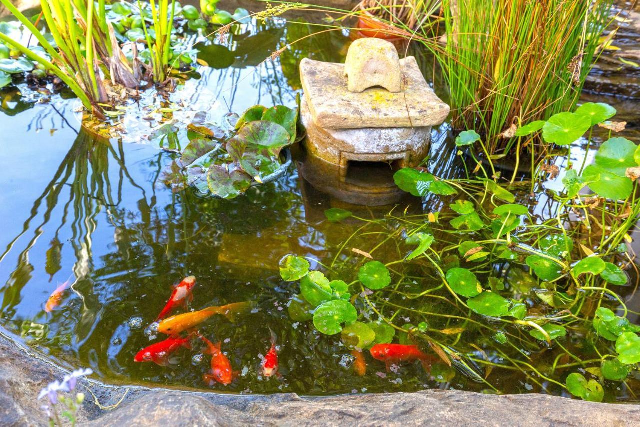 Le Mahi Guest House Langebaan Dış mekan fotoğraf