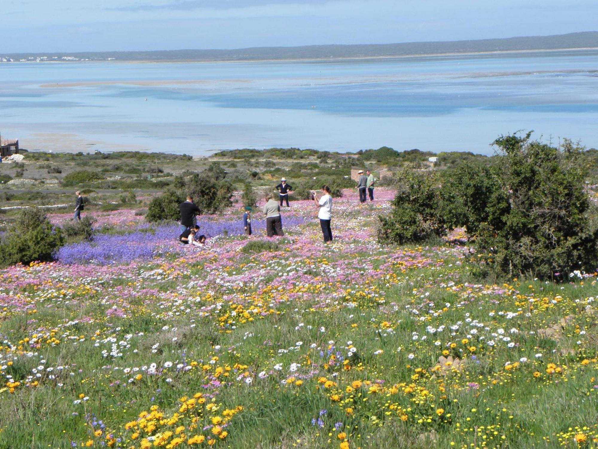 Le Mahi Guest House Langebaan Dış mekan fotoğraf